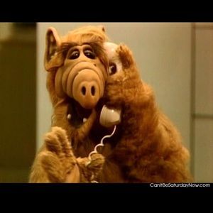 Meet your Posher, Matt